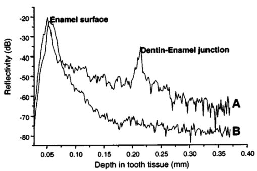 006304j.6.jpg